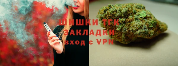 прущий лед Бородино