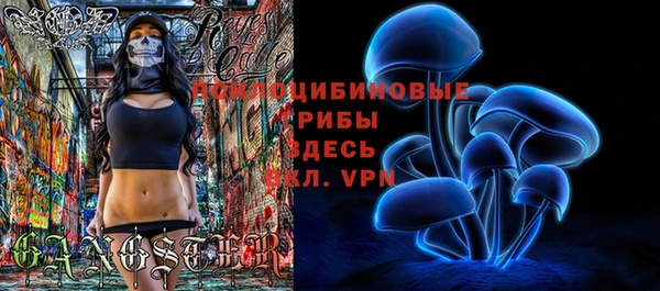 COCAINE Богородск