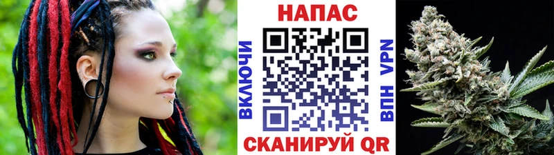 Каннабис план Гулькевичи
